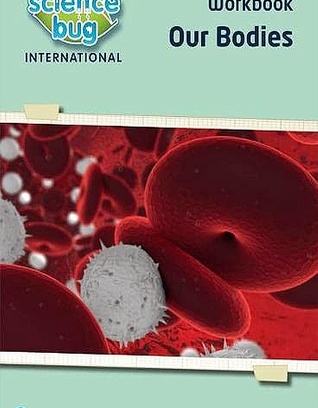 Our Bodies Workbook