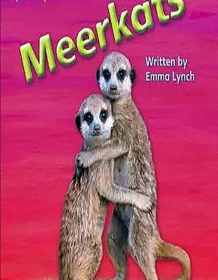 Meerkats - year 2 [Phonics]