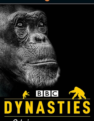 Dynasties : Chimpanzees Lvl 3