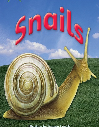 snails - year 1 [Phonics]