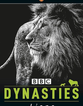 DYNASTIES: LIONS LVL 1