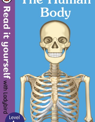 The Human Body Lvl 4